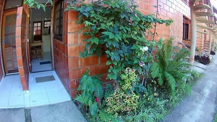 Apt Studio Maranduba Ville 1 Ubatuba Exterior photo